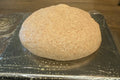 Fresh Milled Whole Wheat Pizza Dough Ball-Large-16 oz